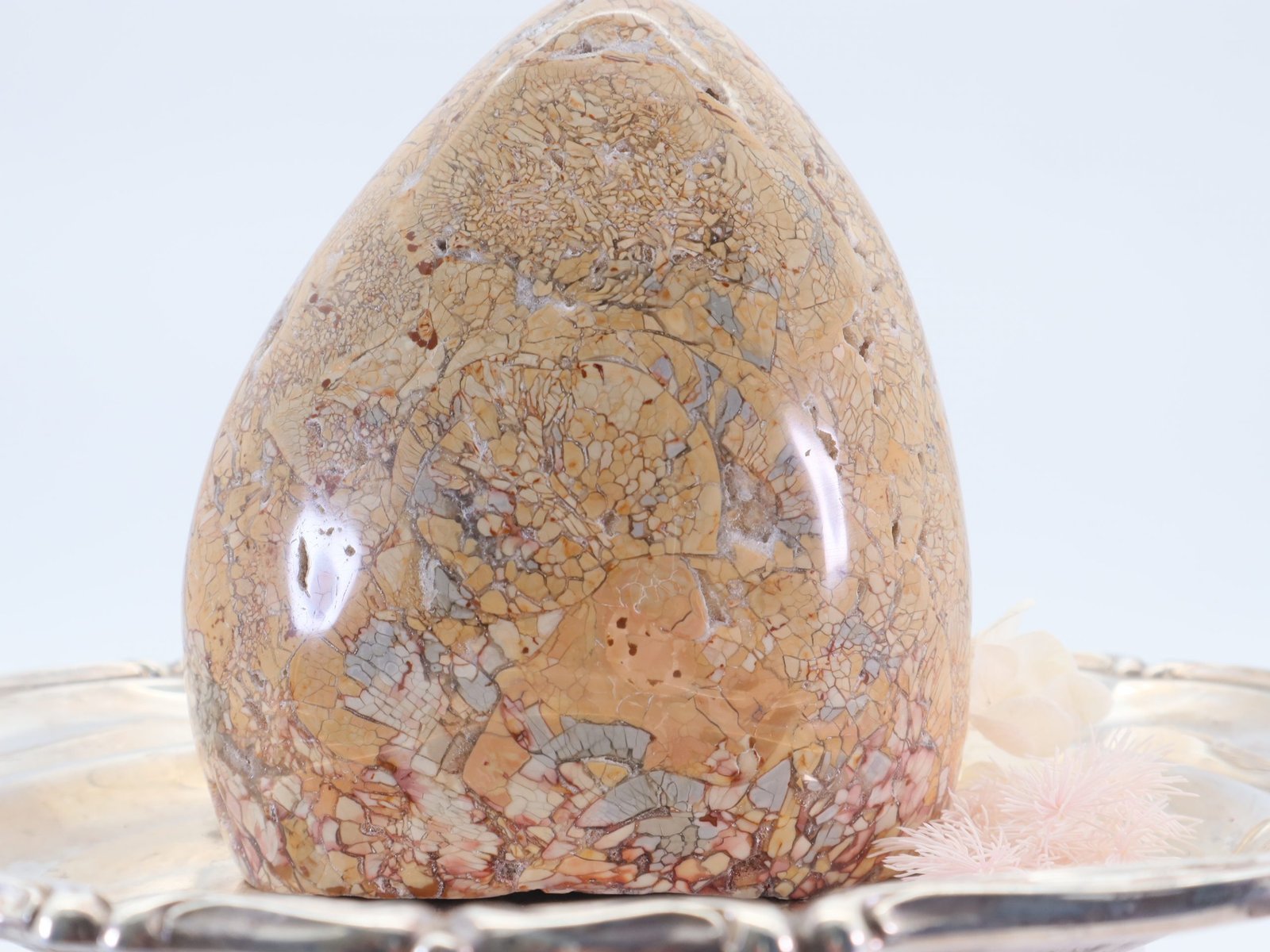 Große Brecciated Freiform aus Madagaskar