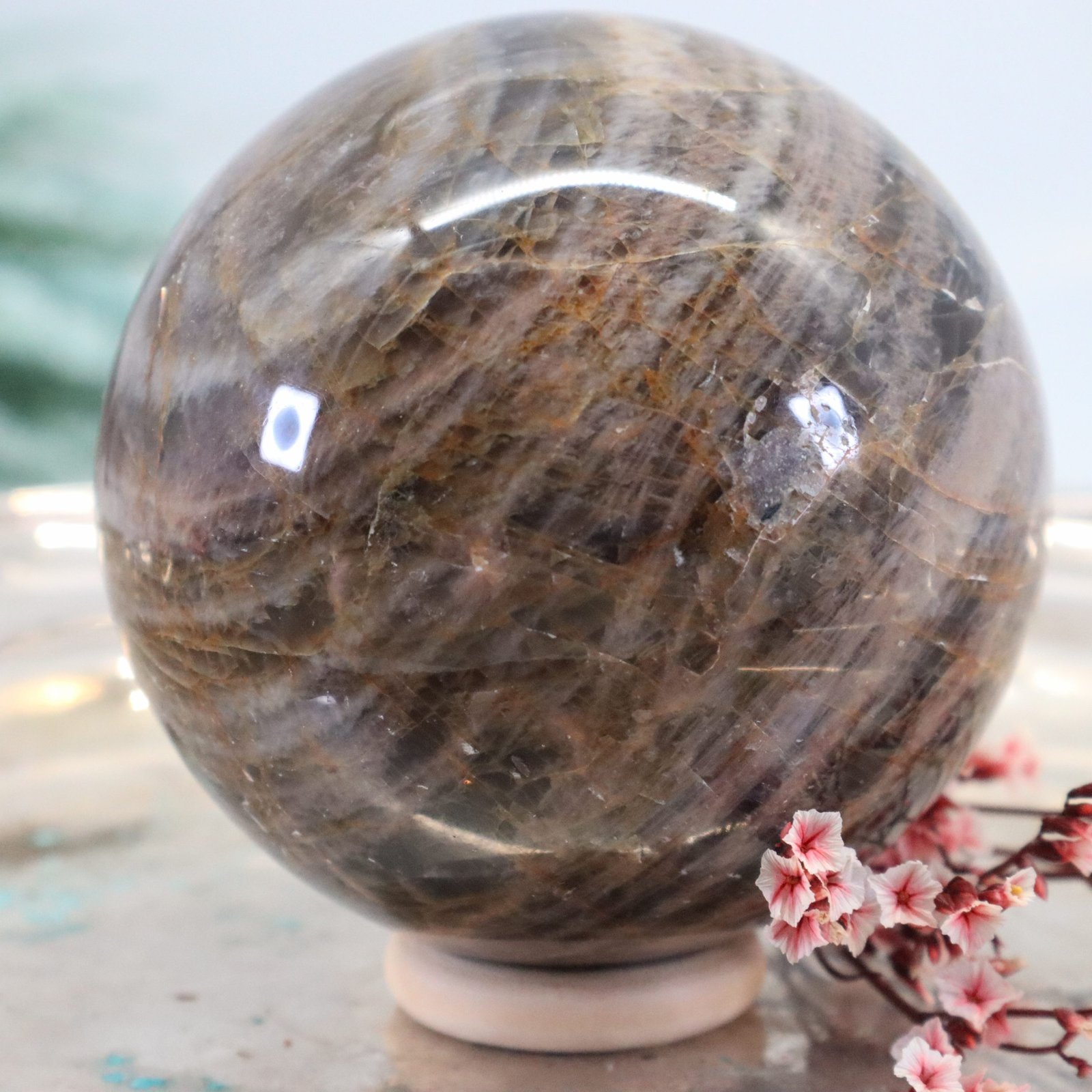 Große Schwarze Mondstein Edelsteinkugel mit wunderbarem Farbspiel