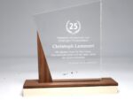 Repräsentativer Award, Trophäe, Auszeichnung aus Acrylglas und Nussbaum – Bild 8
